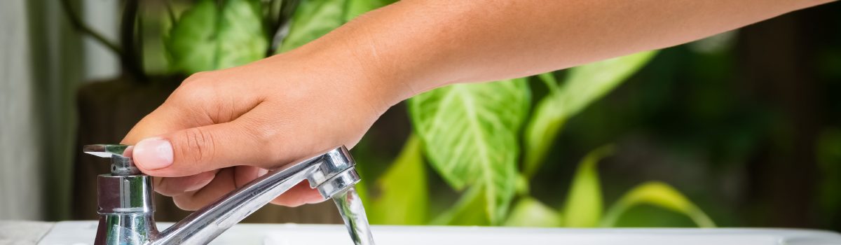 Summer is Approaching. Here Are Ways to Save Water